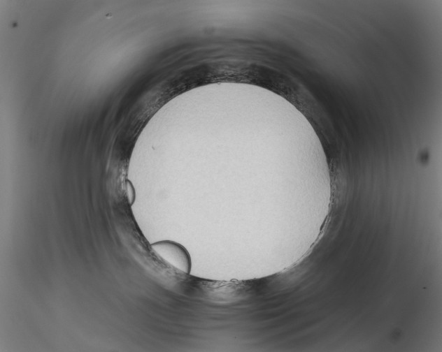 X0000115720191200912101437