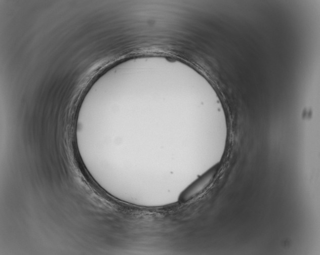 X0000115720193200912101436