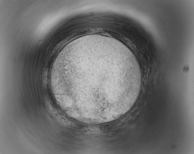 X0000115720194200912101436