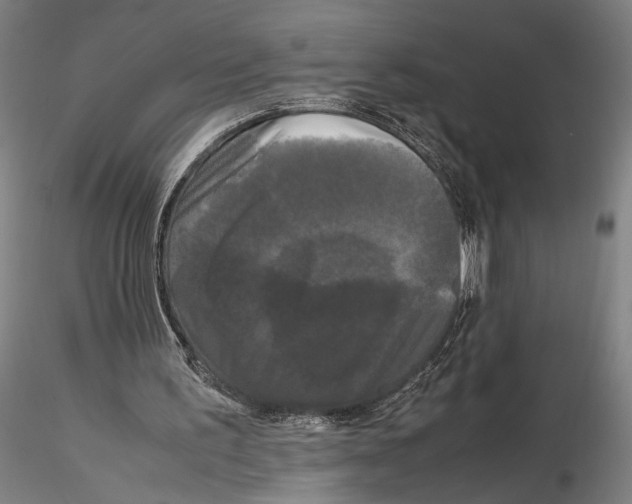X0000115720195200912101436