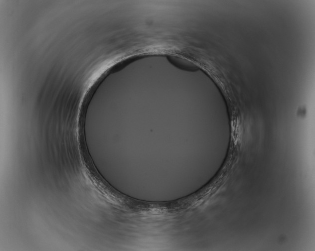 X0000115720196200912101436