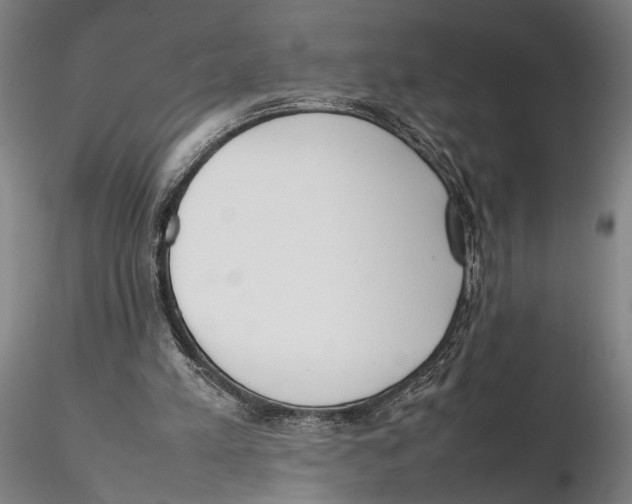 X0000115720197200912101436