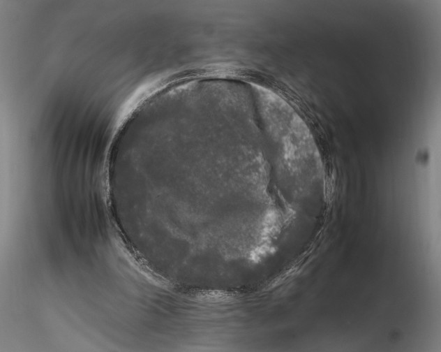 X0000115720198200912101436
