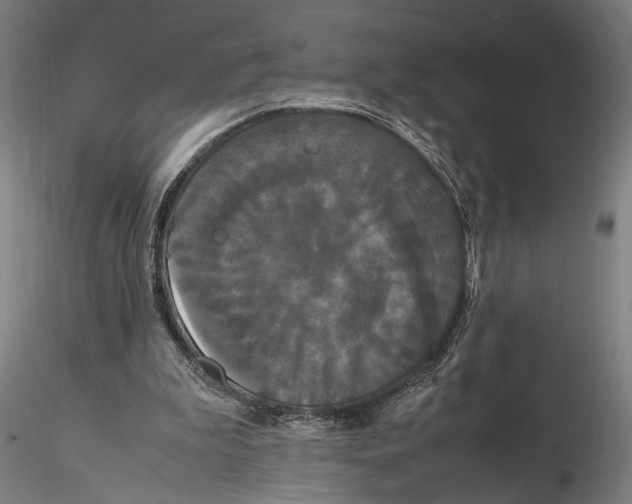 X0000115720199200912101436