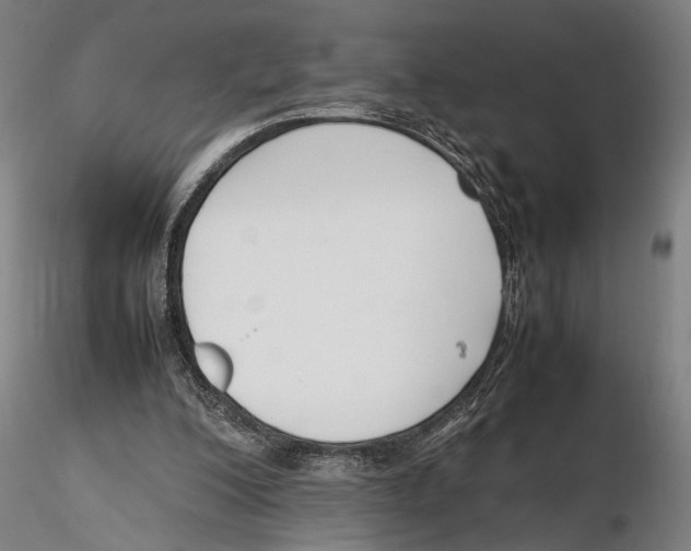 X0000115720200200912101436