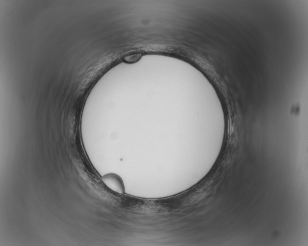 X0000115720201200912101436