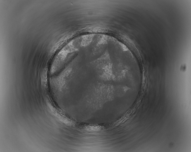 X0000115720202200912101436