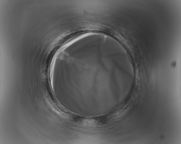 X0000115720203200912101436