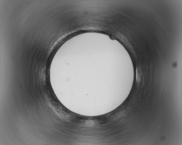 X0000115720204200912101436
