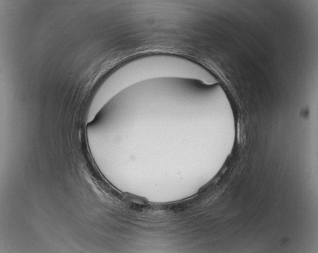 X0000115720205200912101436