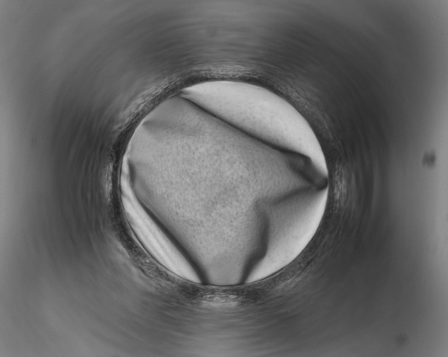 X0000115720206200912101436