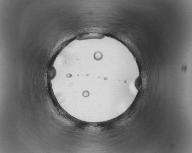X0000115720207200912101436