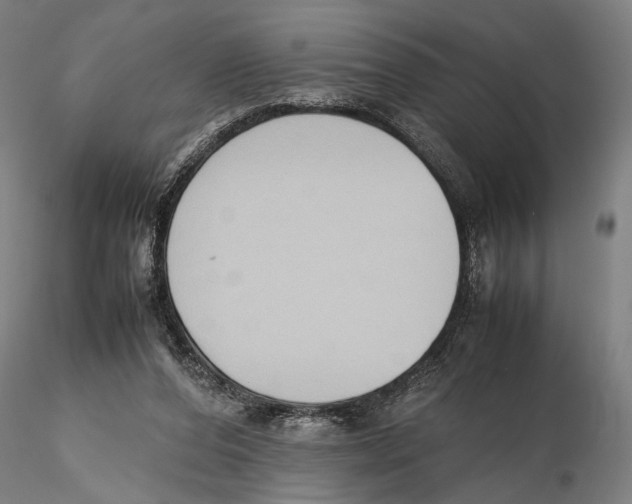 X0000115720208200912101436
