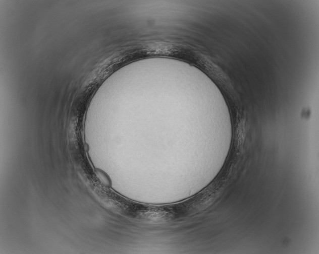 X0000115720209200912101436
