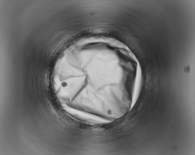X0000115720210200912101436
