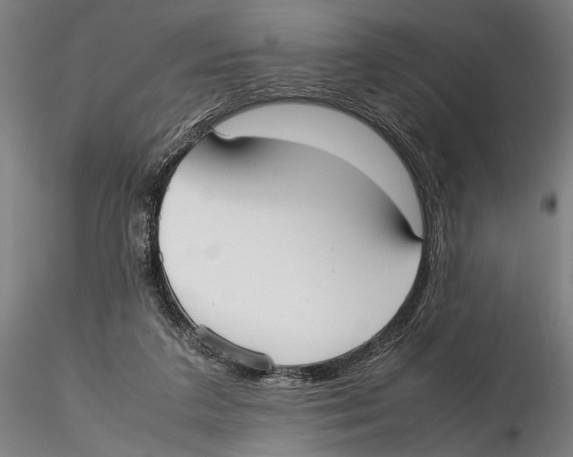 X0000115720211200912101436