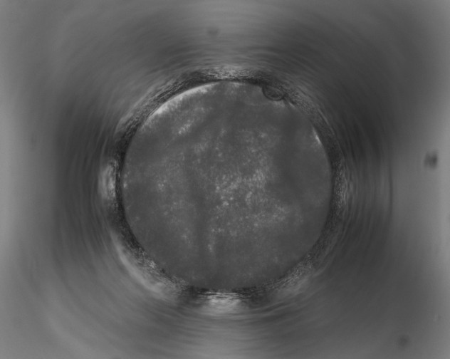 X0000115720214200912101436