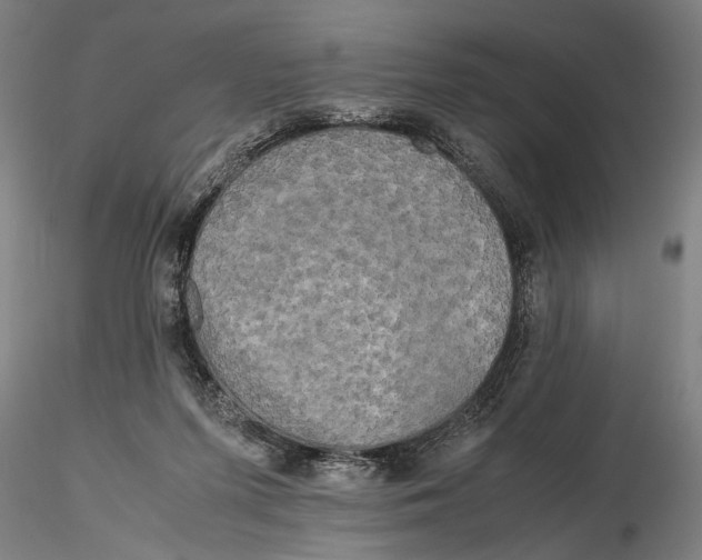 X0000115720215200912101436