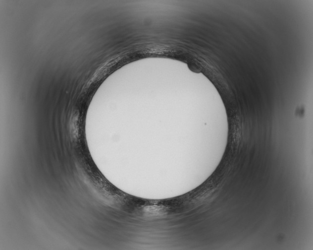 X0000115720216200912101436