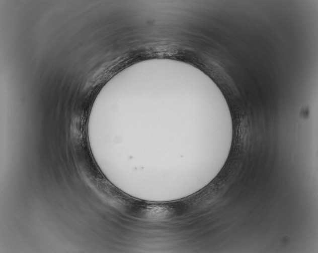 X0000115720218200912101436