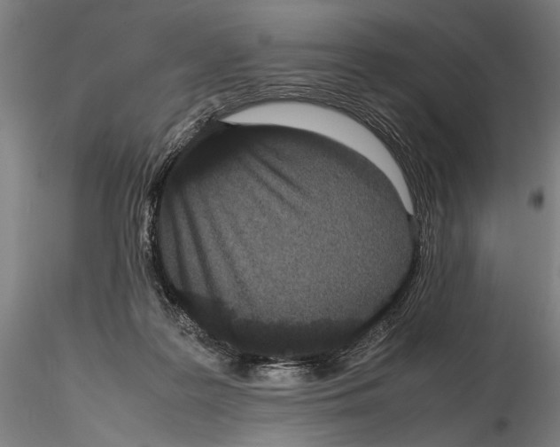 X0000115720219200912101436