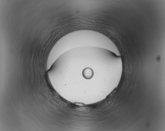 X0000115720221200912101436