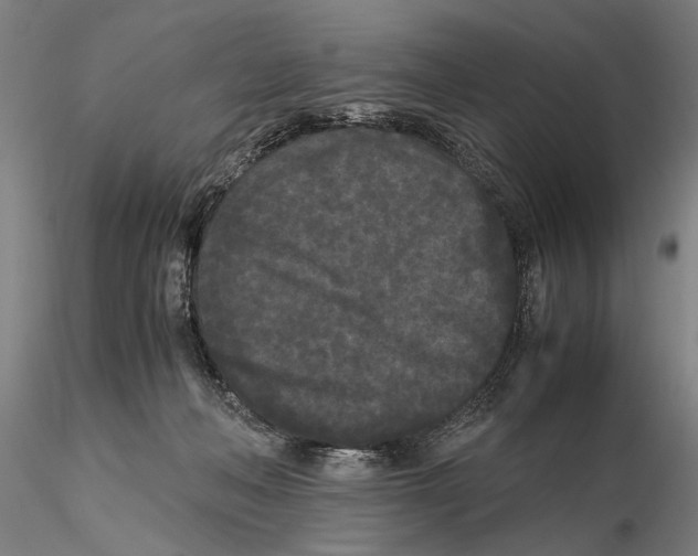 X0000115720222200912101436