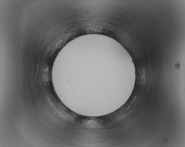 X0000115720224200912101436
