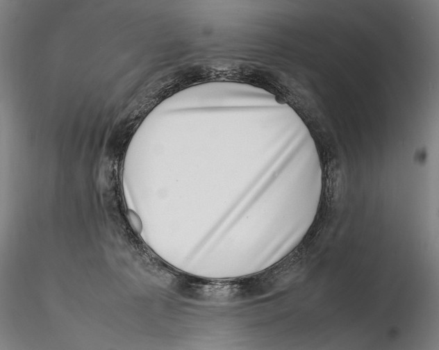 X0000115720225200912101436