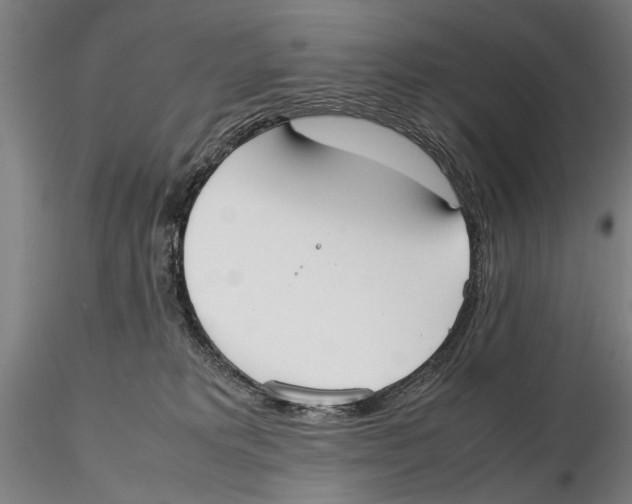 X0000115720229200912101436