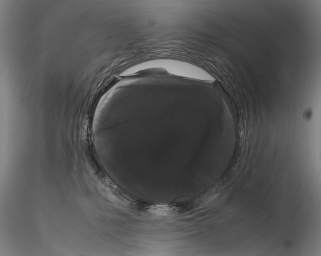 X0000115720231200912101436