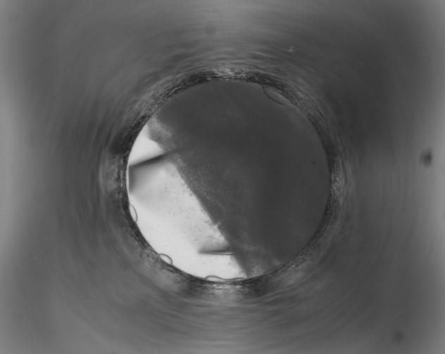 X0000115720233200912101436