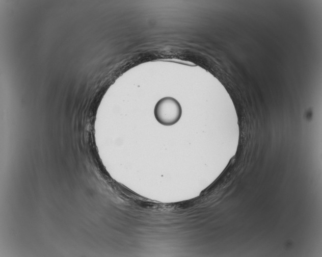 X0000115720235200912101436