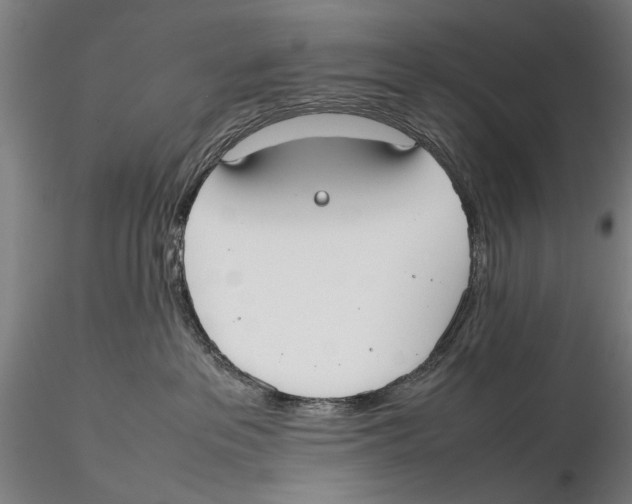 X0000115720237200912101435