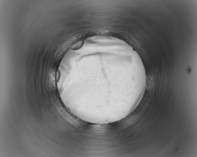 X0000115720238200912101435
