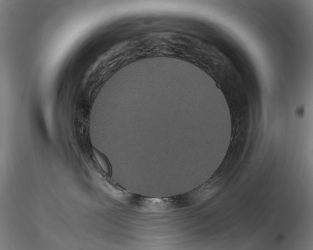 X0000115720239200912101435