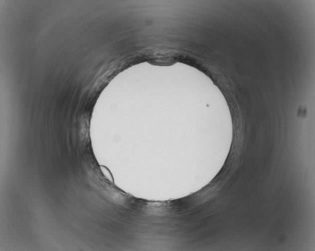 X0000115720240200912101435