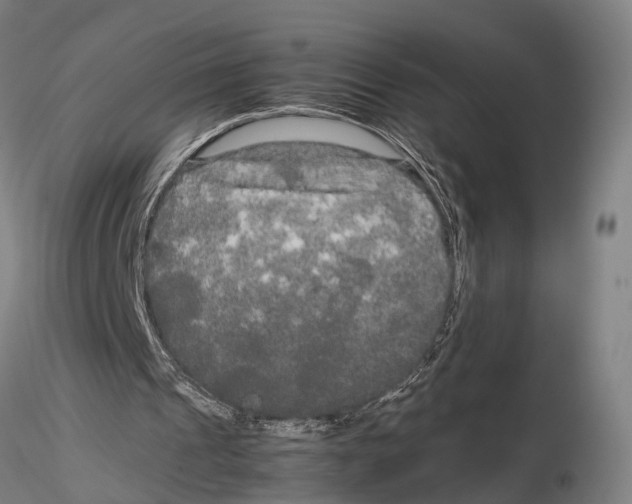 X0000115720241200912101435