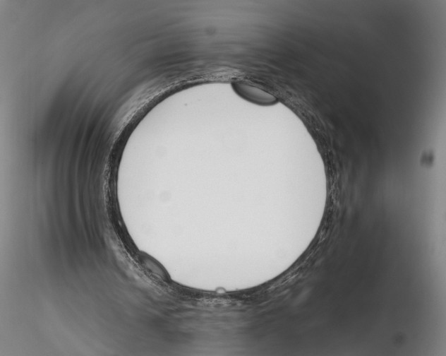 X0000115720242200912101435