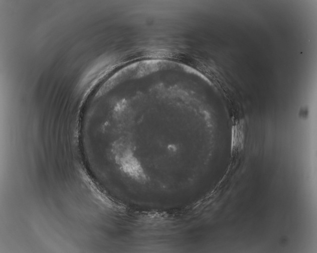 X0000115720243200912101435