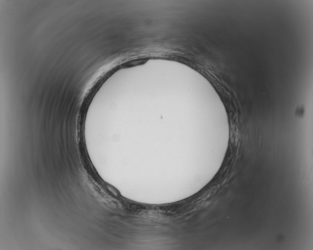 X0000115720244200912101435