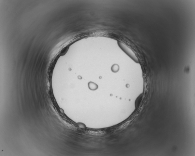 X0000115720245200912101435