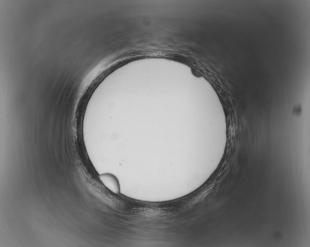 X0000115720246200912101435