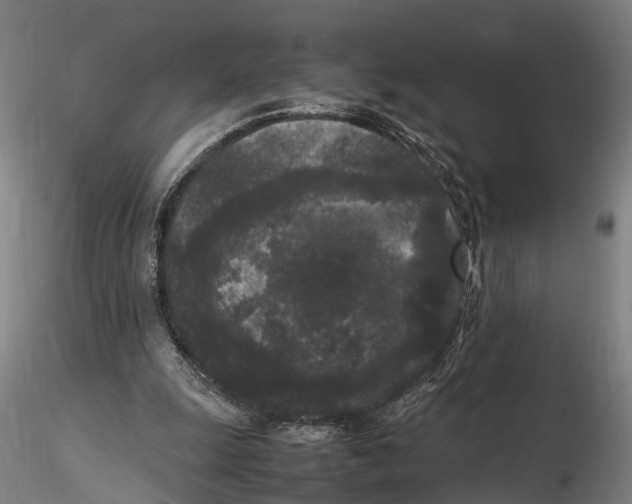 X0000115720247200912101435
