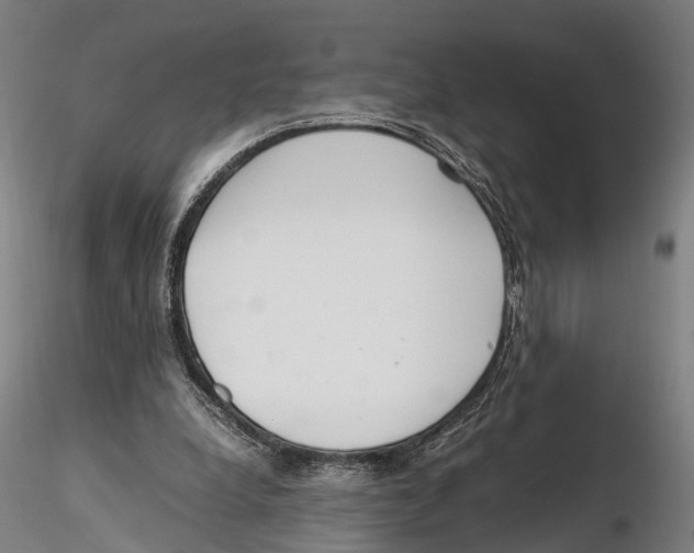 X0000115720248200912101435