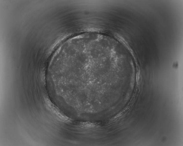 X0000115720249200912101435