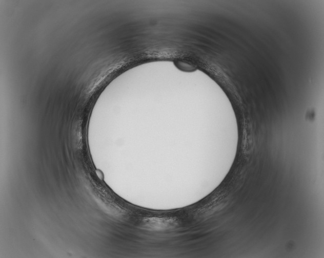 X0000115720251200912101435