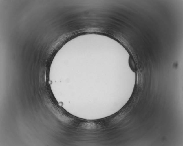X0000115720253200912101435