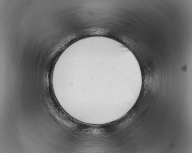X0000115720254200912101435