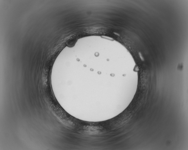 X0000115720255200912101435